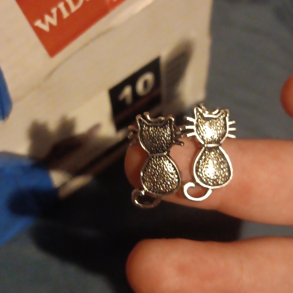 Cat studs